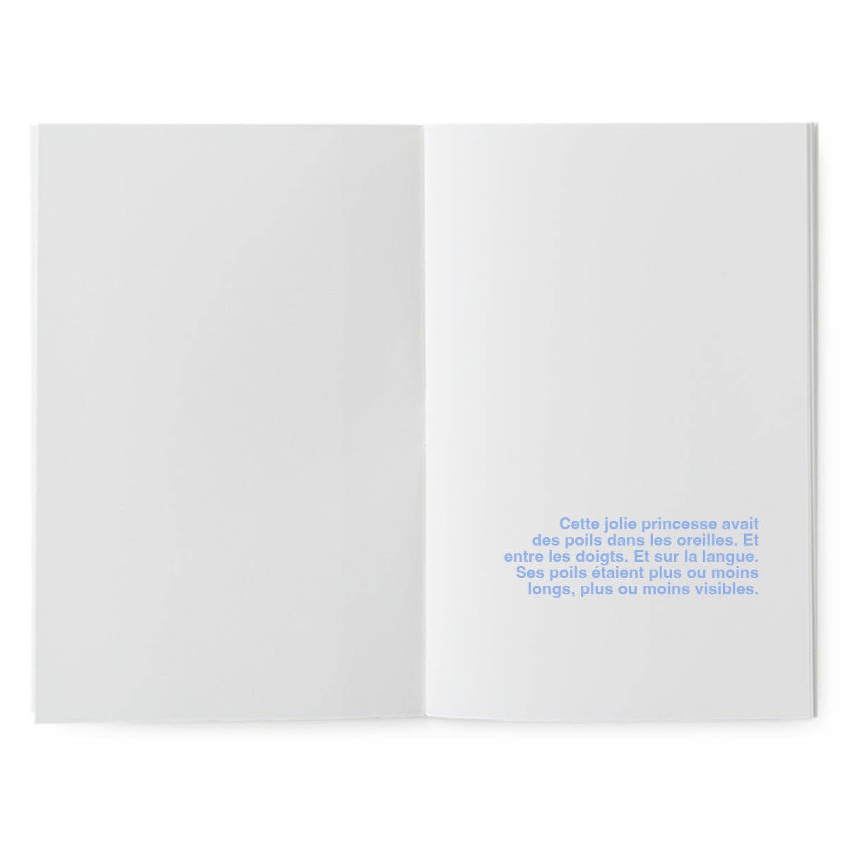 Livre à illustrer - la princesse poilue