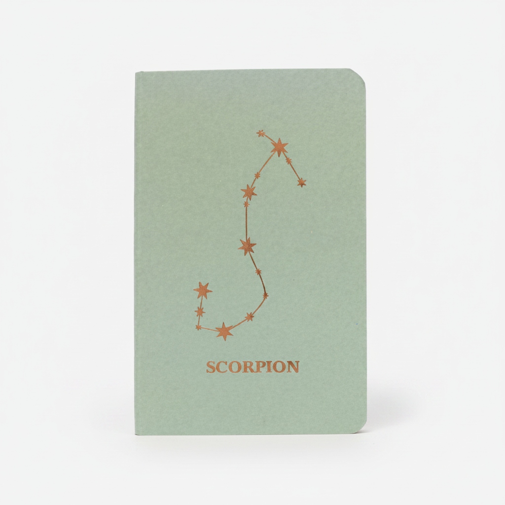 Carnet astro scorpion
