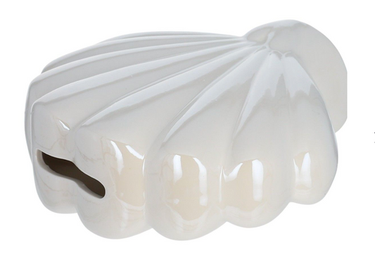 tirelire coquillage