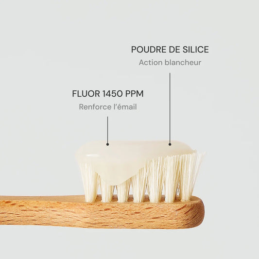 Dentifrice Menthe blancheur