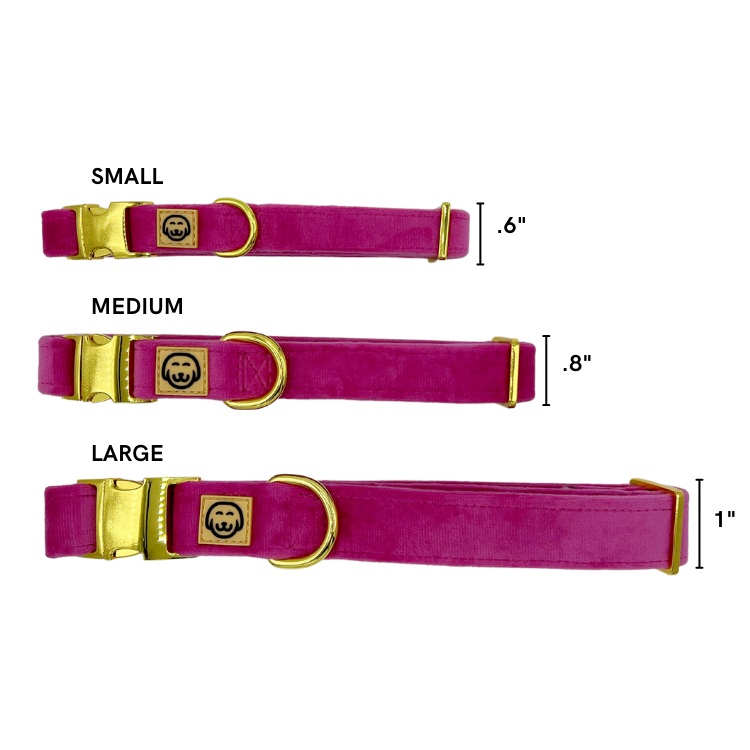 collier chien Velours rose
