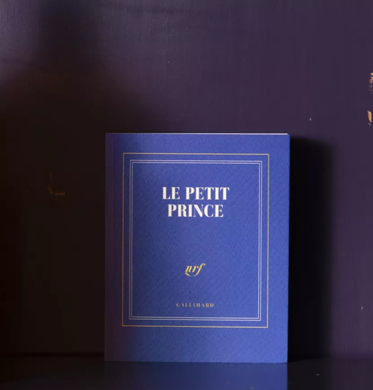 Carnet "Le petit prince"