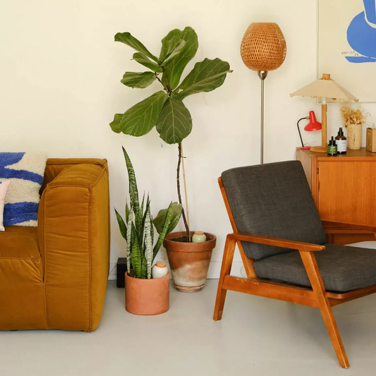 Olla - Rayé Rose et rouge