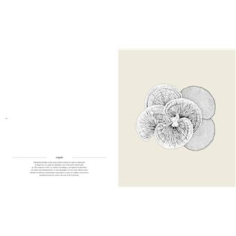 Champignons Eloge du vivant