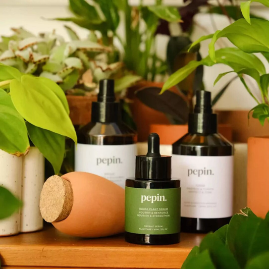 Routine Plantcare