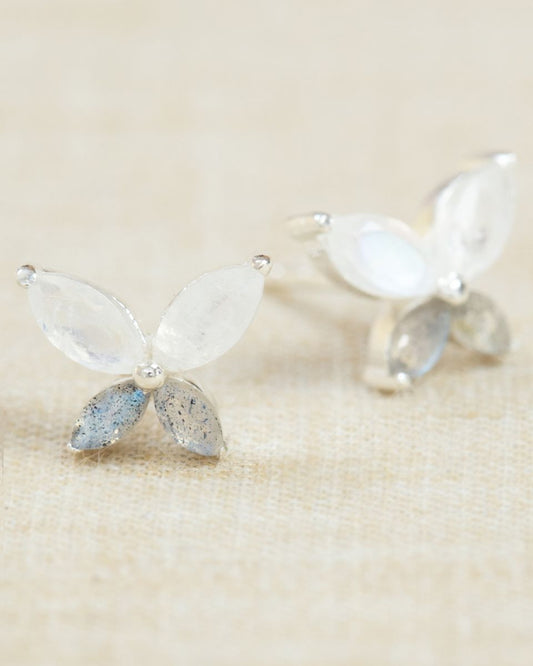 Puce d'oreille labradorite