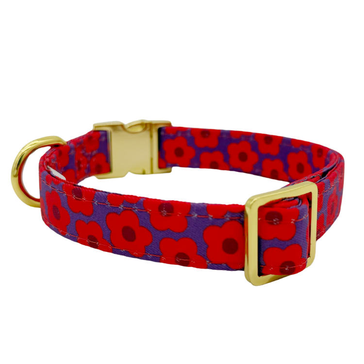 Collier pour chien - Mon Chéri - fleur rose