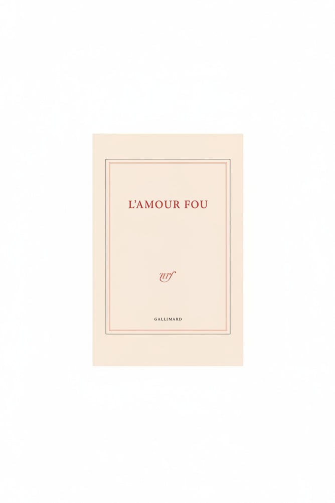 grand carnet de dessin l'amour fou