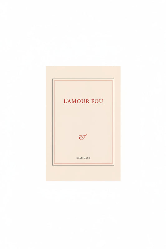 grand carnet de dessin l'amour fou