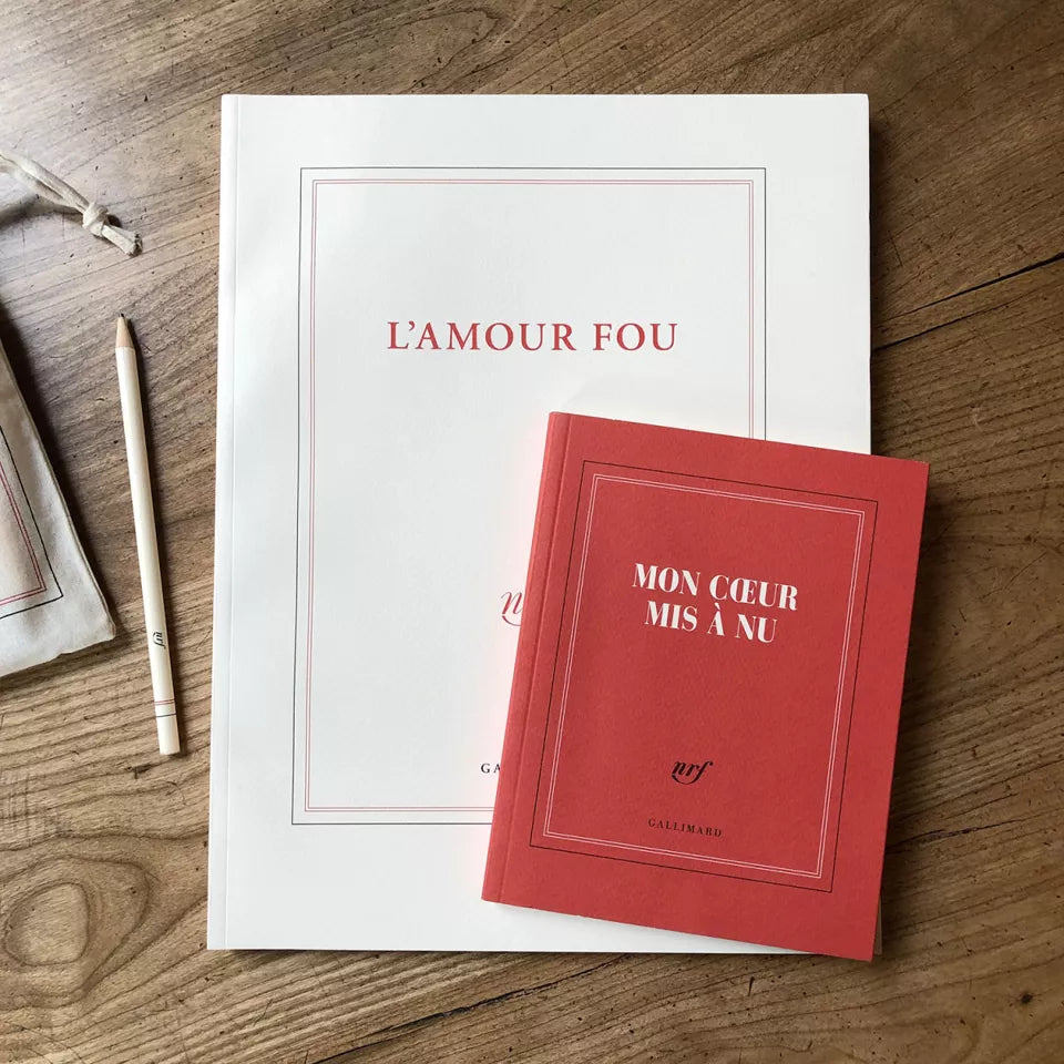 grand carnet de dessin l'amour fou