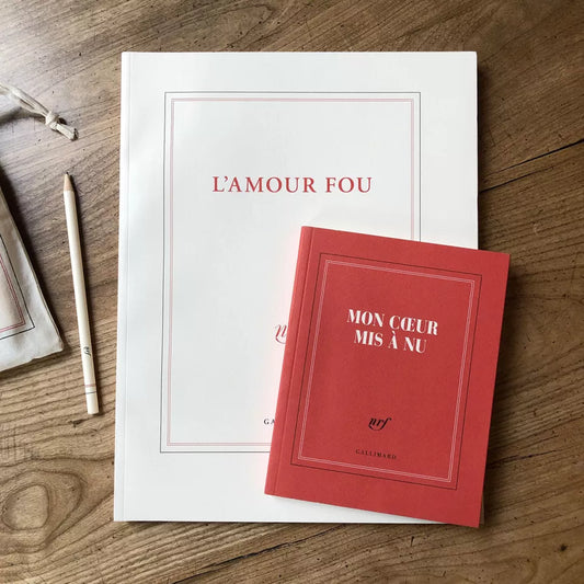 grand carnet de dessin l'amour fou