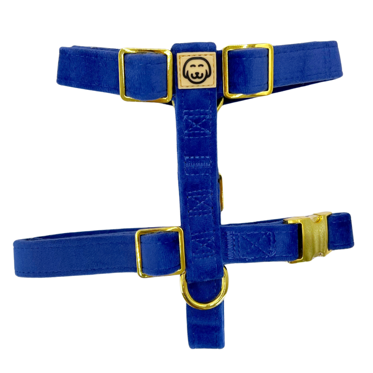Harnais pour chien - Royal Velvet - sangle réglable Bleu