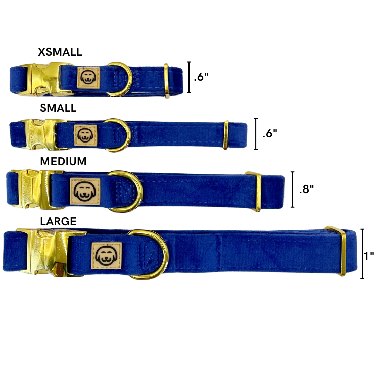 Royal Velvet - Collier pour chien - bleu
