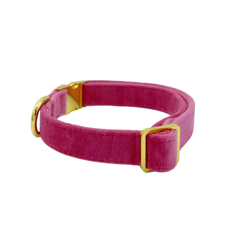 collier chien Velours rose