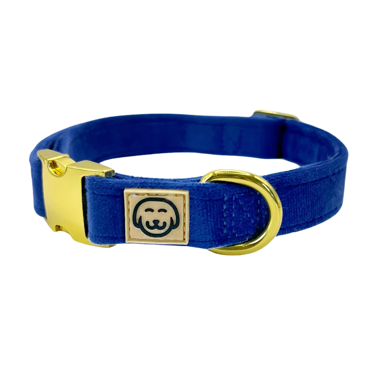 Royal Velvet - Collier pour chien - bleu