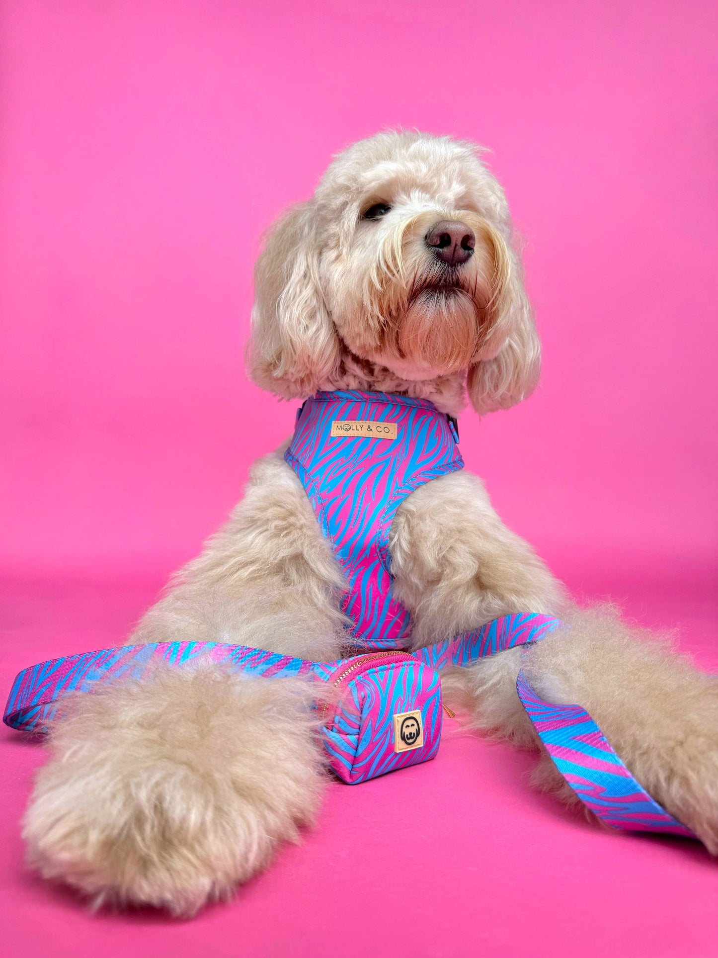 Malibu Doll - Laisse pour chien - Tigre rose