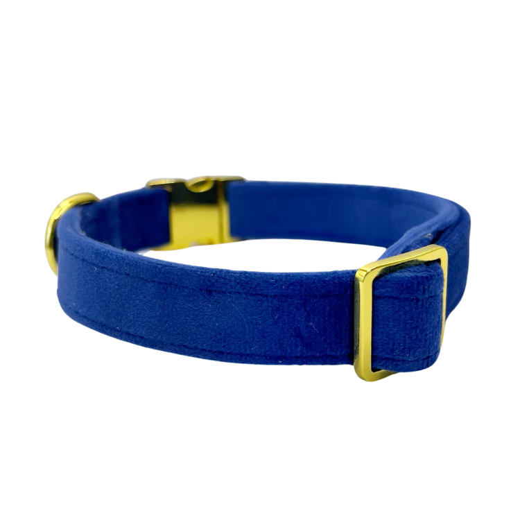Royal Velvet - Collier pour chien - bleu