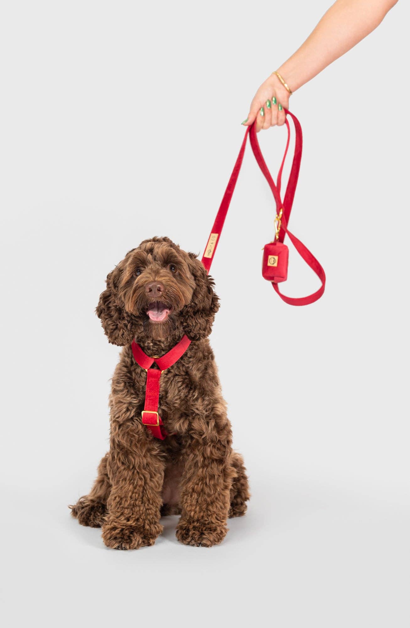 Harnais pour chien à sangle réglable - Velours écarlate