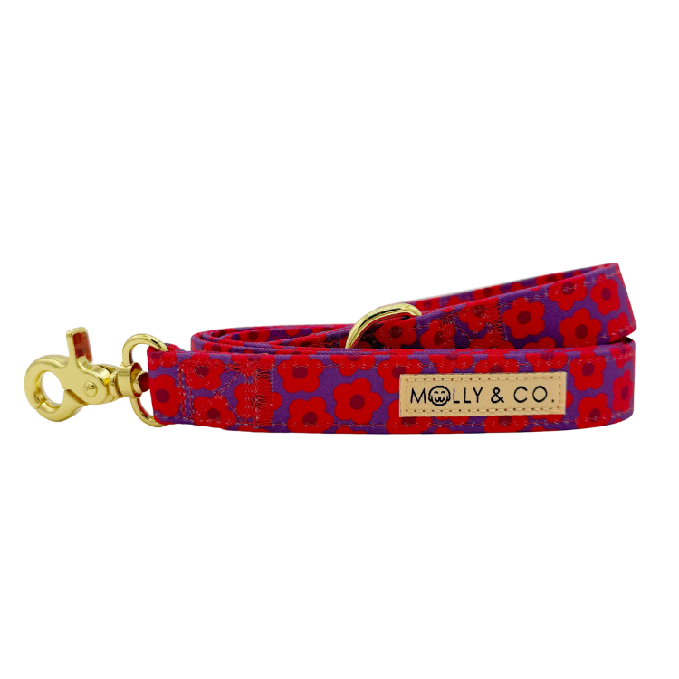 Mon Chéri - Laisse pour chien - fleur rose