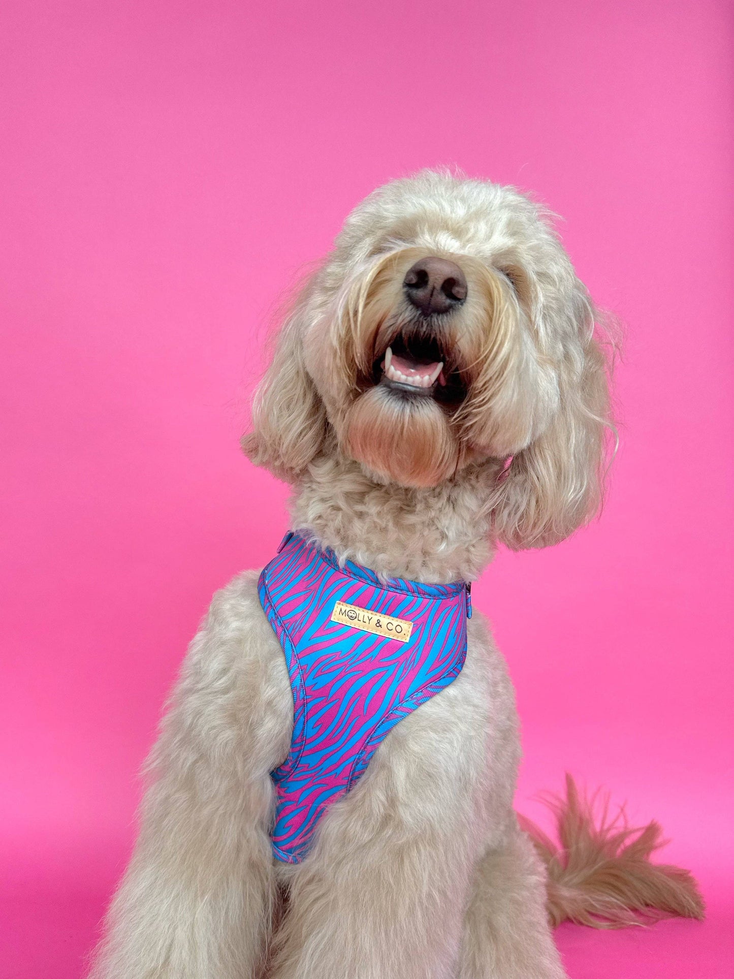 Harnais pour chien ajustable Malibu Doll à imprimé tigre rose et bleu aqua