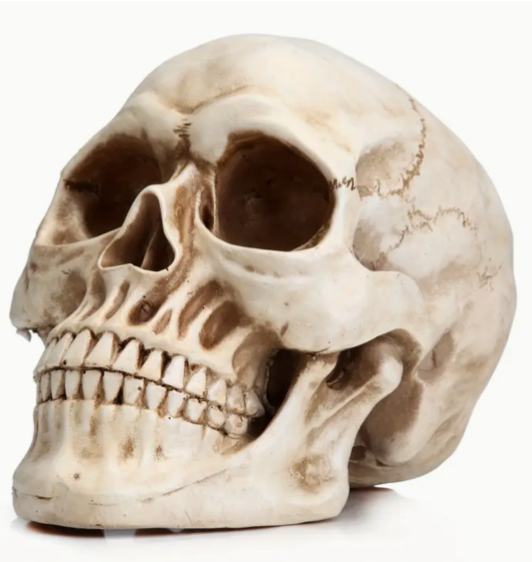 tête de mort