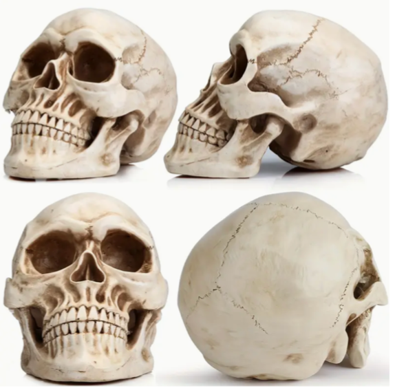 tête de mort