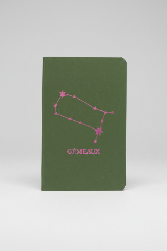 Carnet astro gémeaux