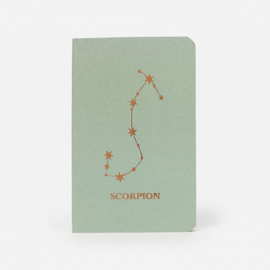 Carnet astro scorpion