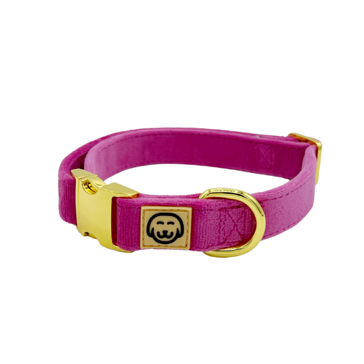 collier chien Velours rose