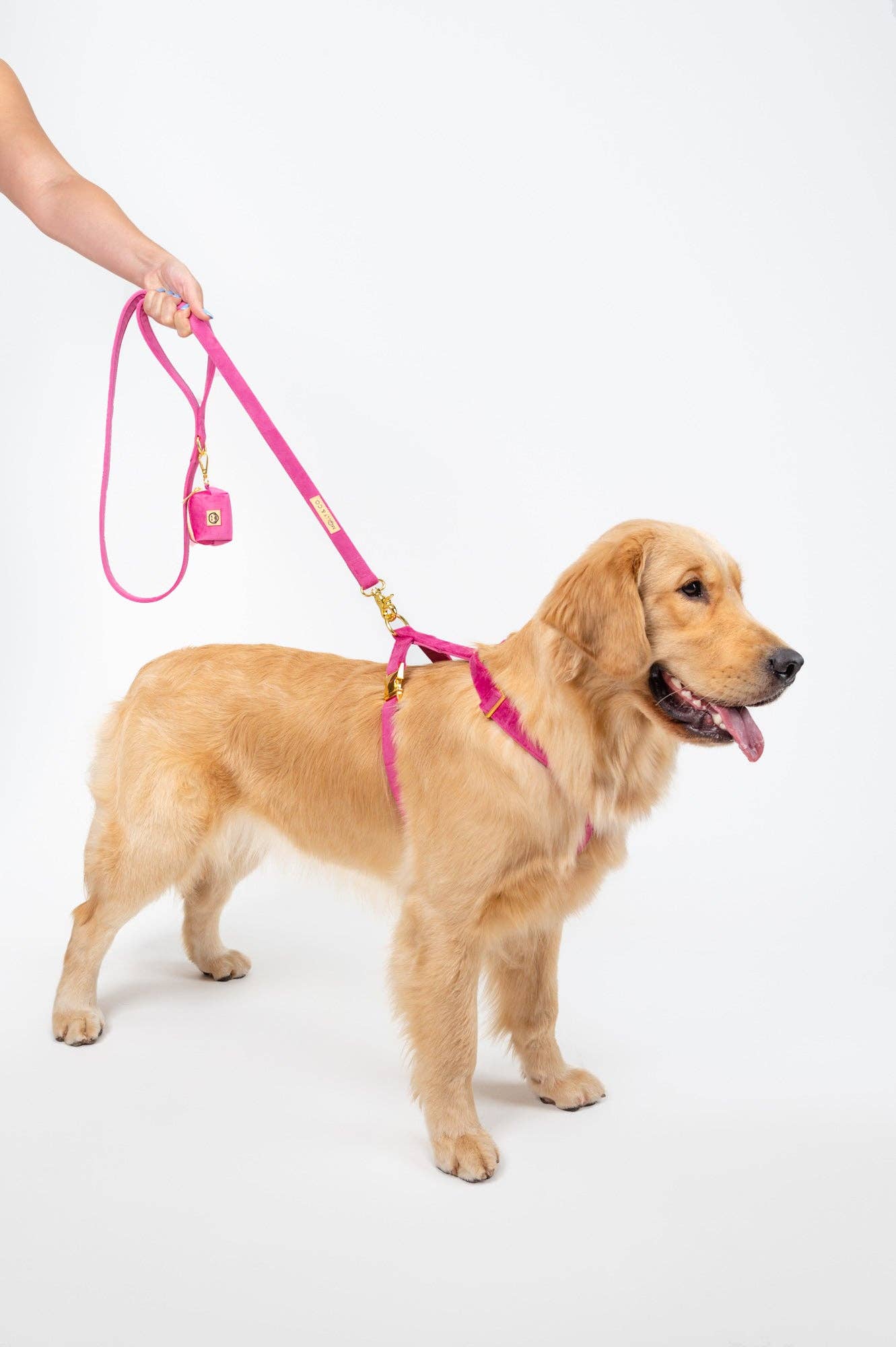 Harnais - Rose Velvet - chien à sangle ajustable
