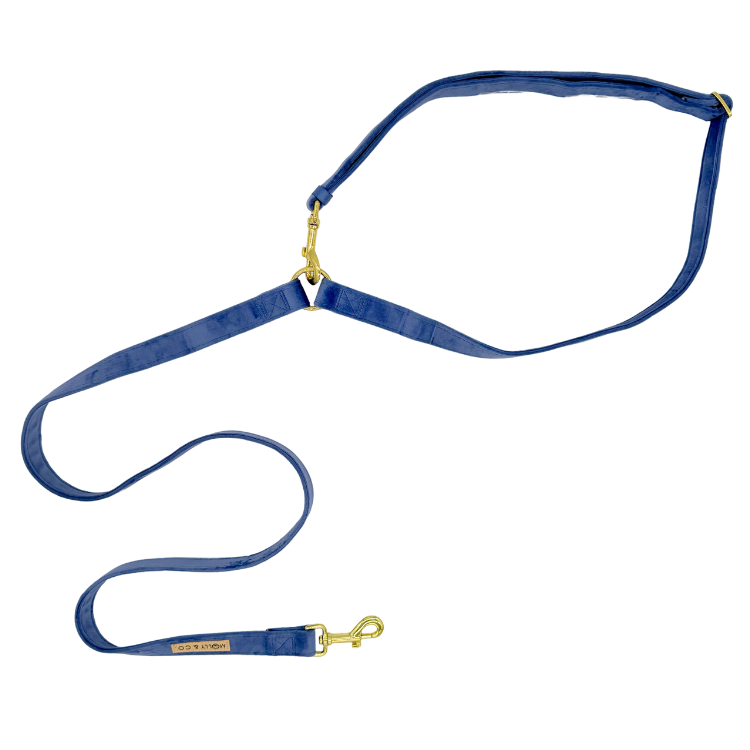 Laisse pour chien mains libres - velours bleu