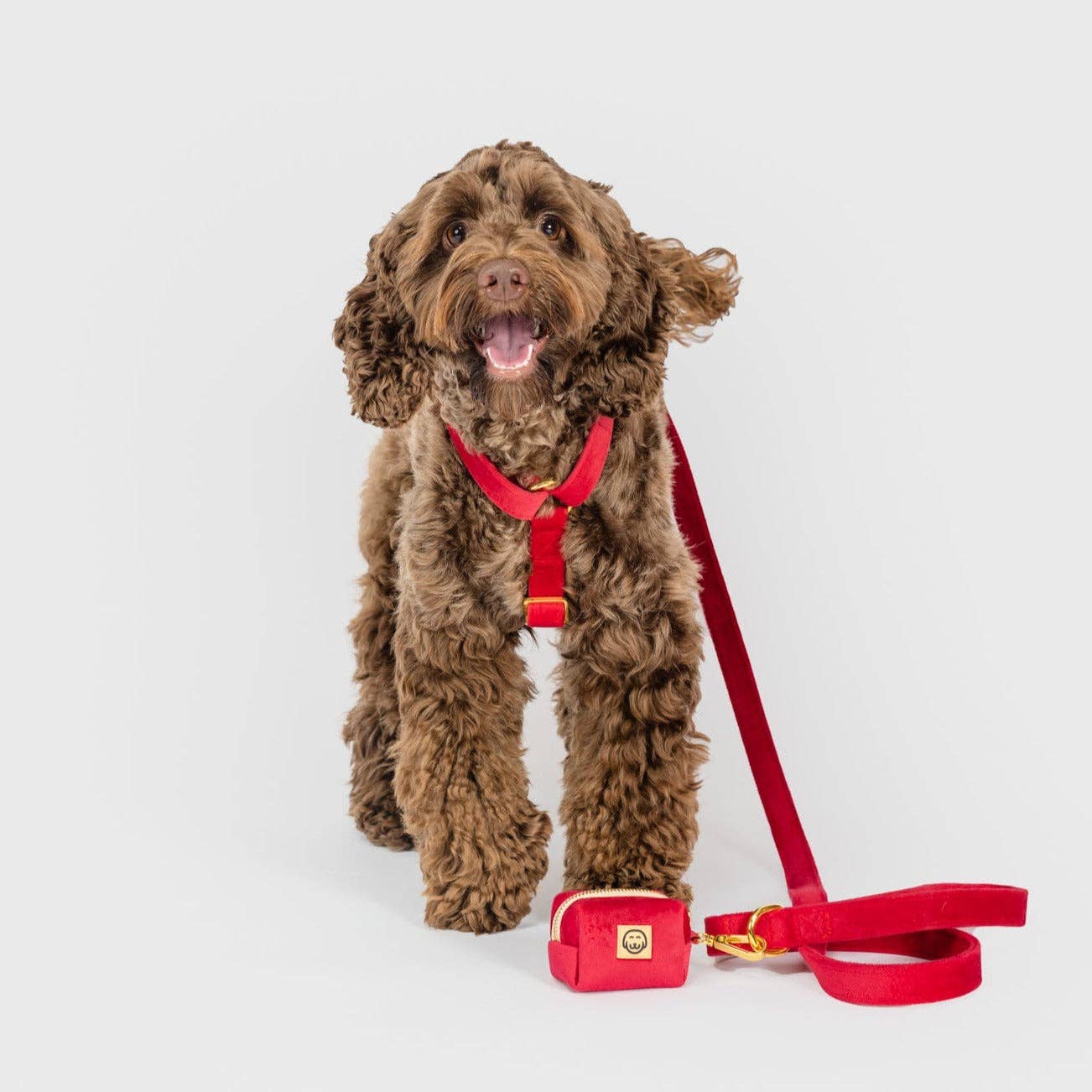 Harnais pour chien à sangle réglable - Velours écarlate
