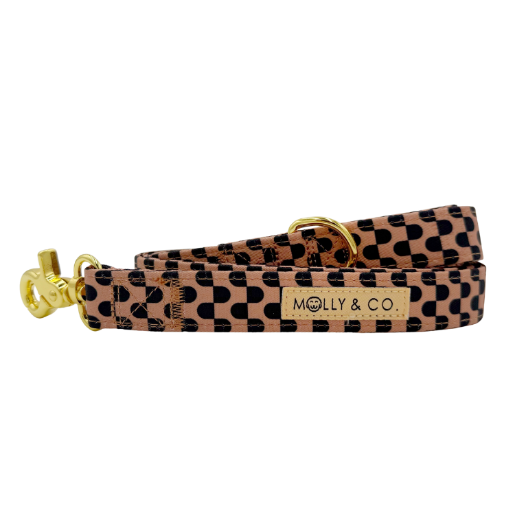 Moonrise - Laisse pour chien - marrons                                                   x.  v