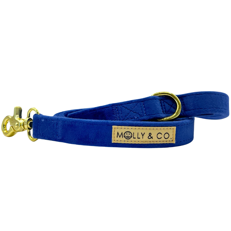Royal Velvet - Laisse pour chien - bleu
