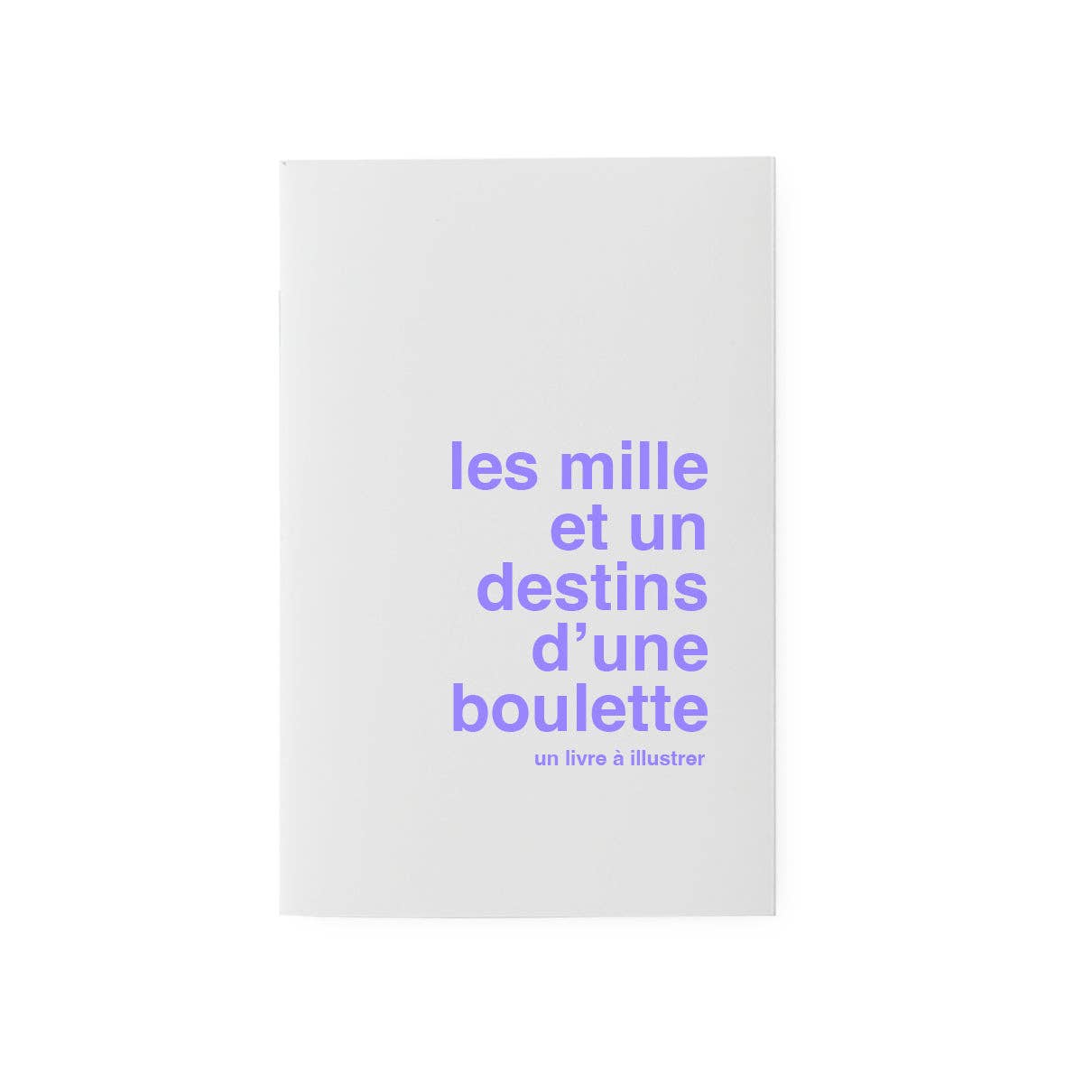 Livre à illustrer - les mille et un destins d'une boulette