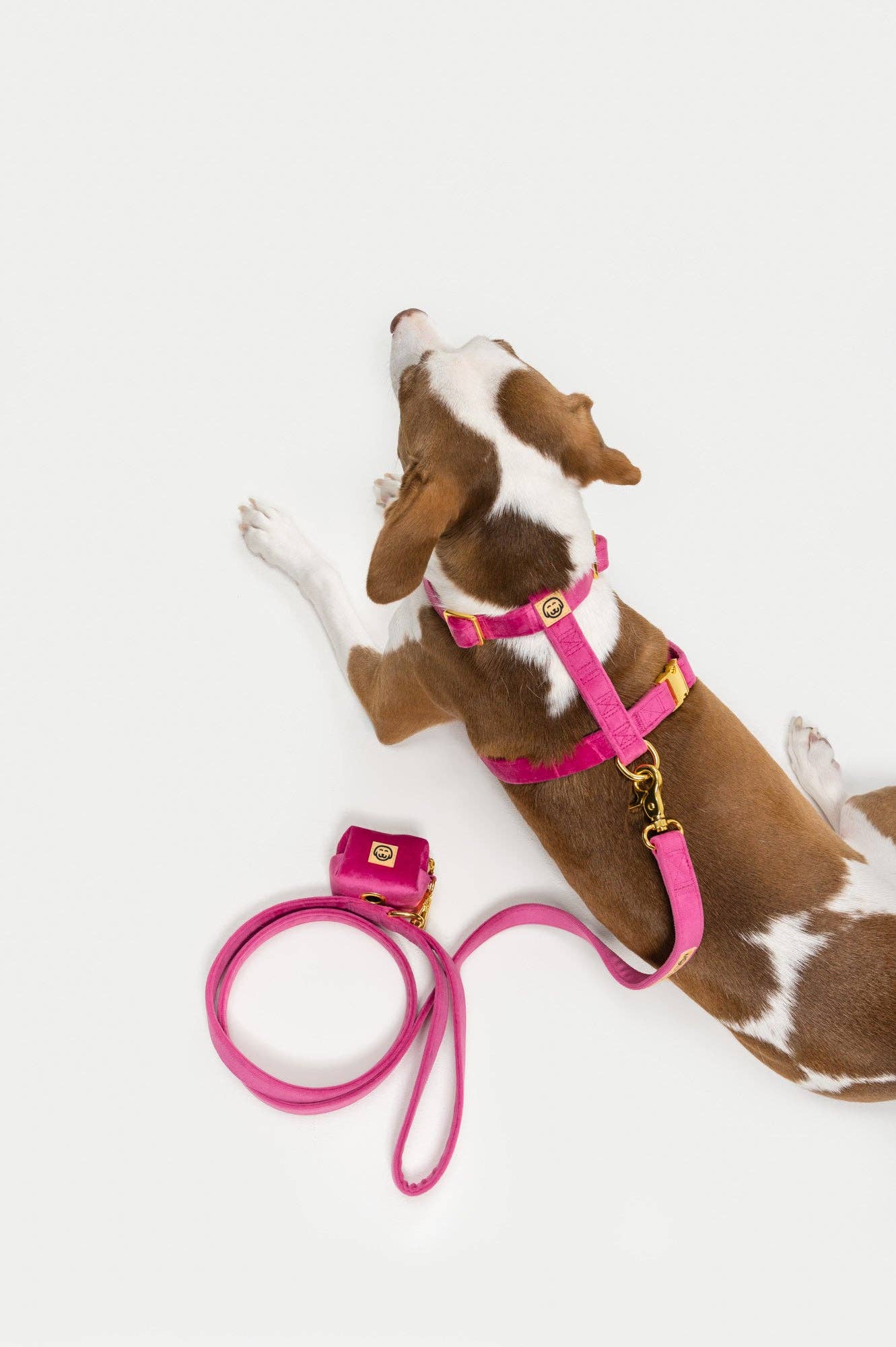 Harnais - Rose Velvet - chien à sangle ajustable