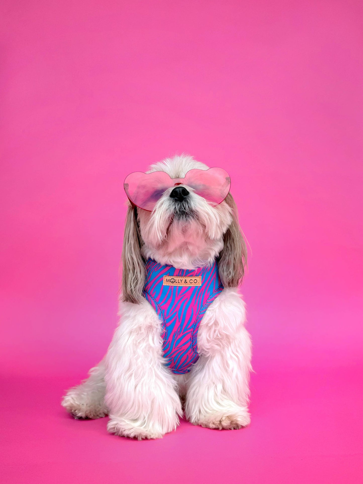 Harnais pour chien ajustable Malibu Doll à imprimé tigre rose et bleu aqua