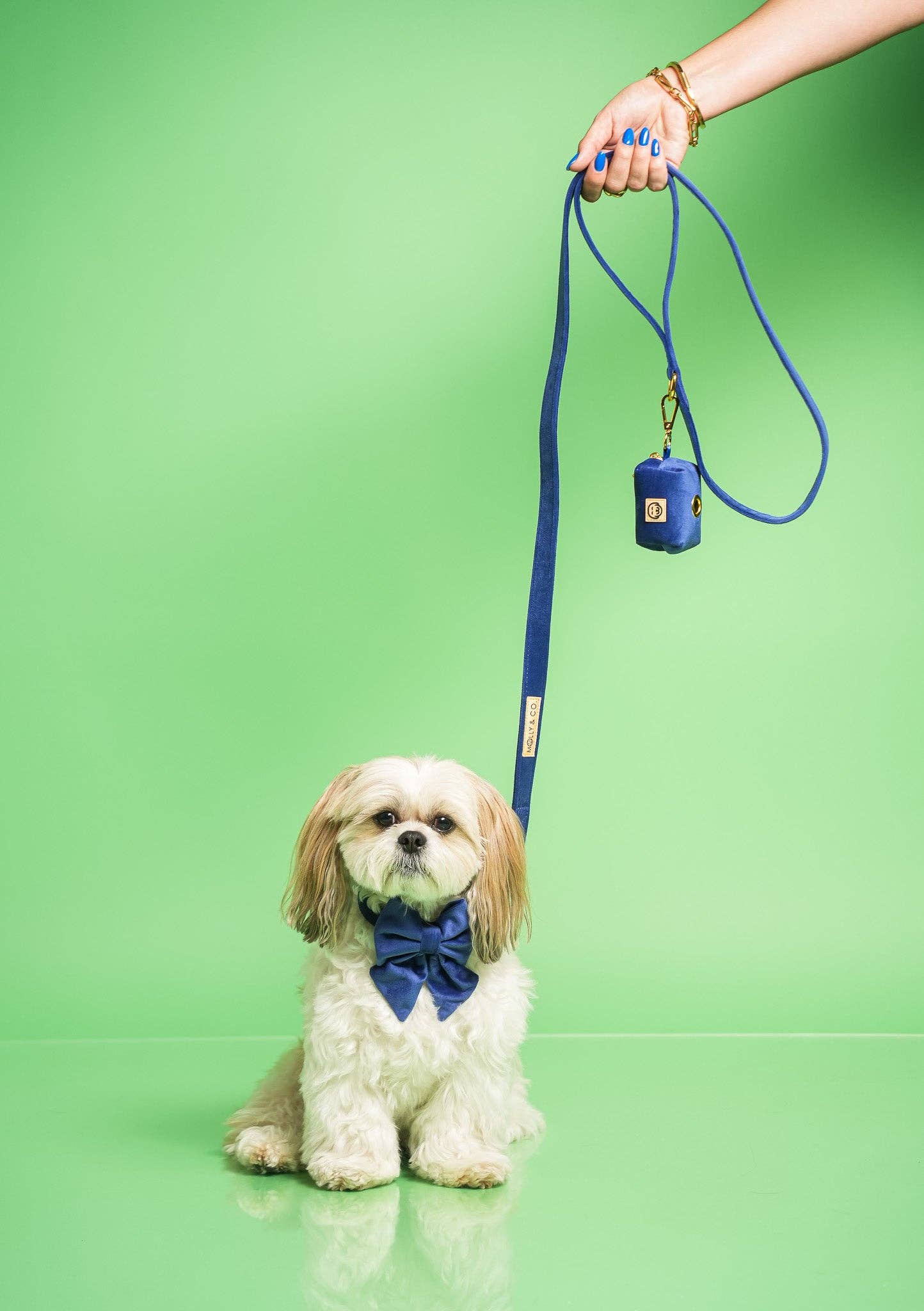 Royal Velvet - Laisse pour chien - bleu