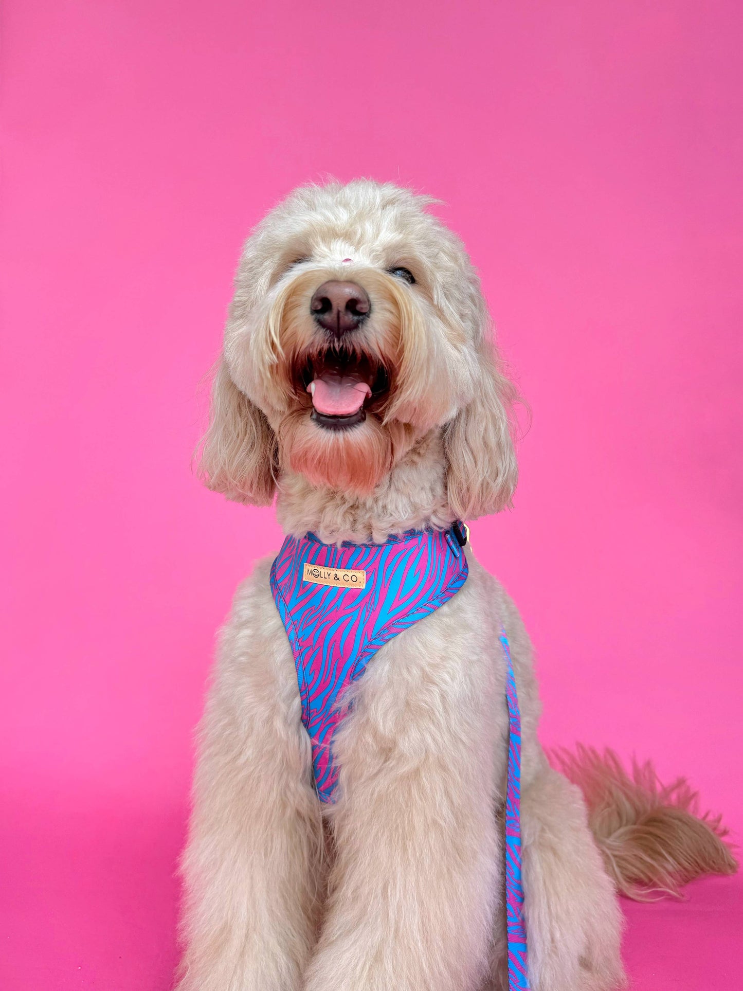 Harnais pour chien ajustable Malibu Doll à imprimé tigre rose et bleu aqua