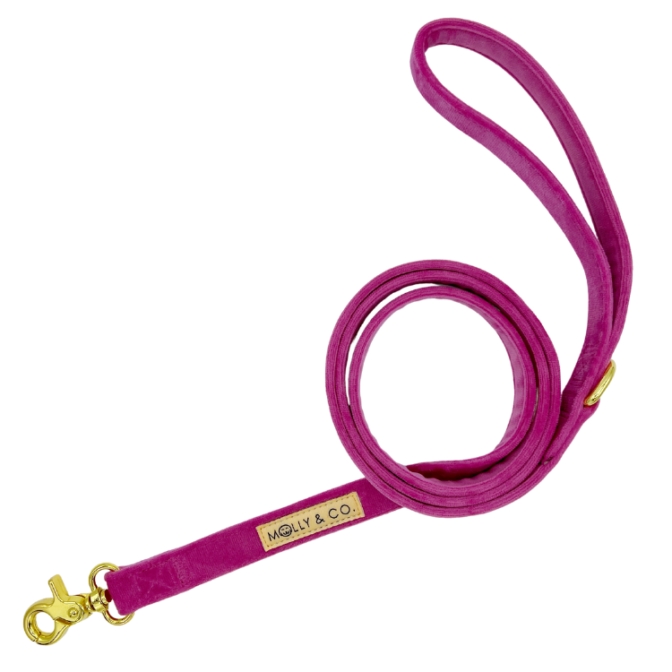 Rose Velvet - Laisse
