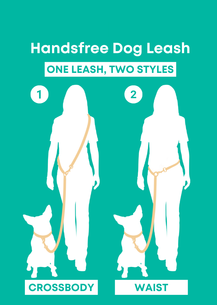 Moonrise - Laisse pour chien mains libres - marron