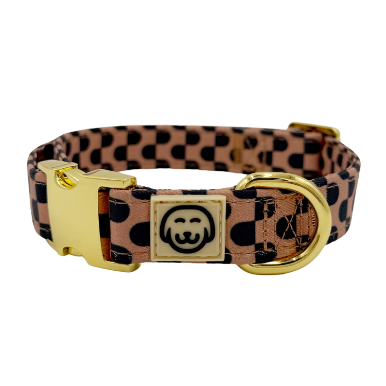 Collier pour chien - Moonrise - marron