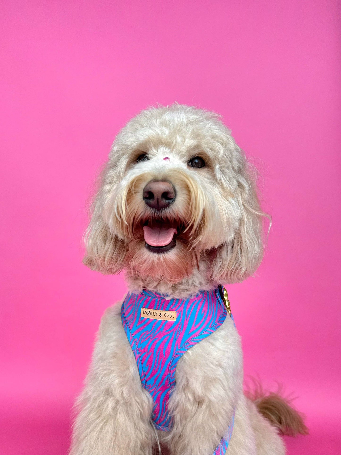 Harnais pour chien ajustable Malibu Doll à imprimé tigre rose et bleu aqua