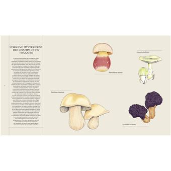 Champignons Eloge du vivant