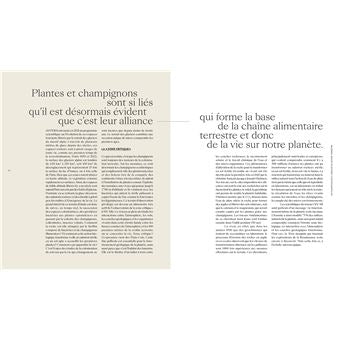 Champignons Eloge du vivant