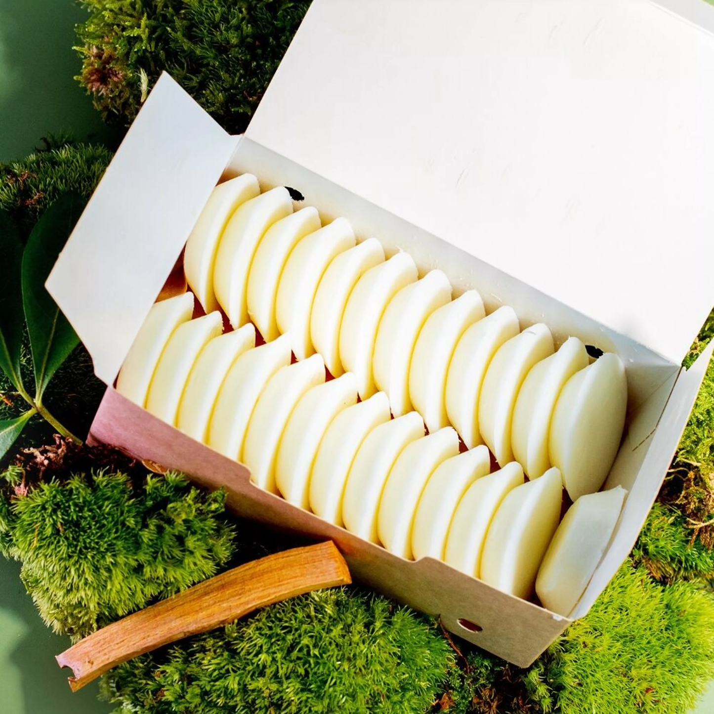 Fondants cires parfumées