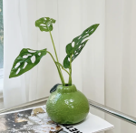 Vase citron vert