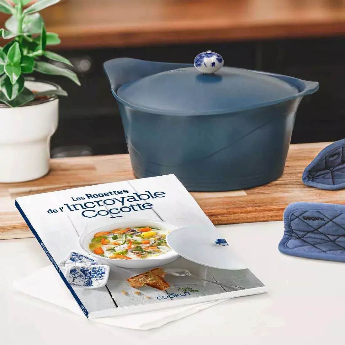 Livre de recette " l'Incroyable cocotte"