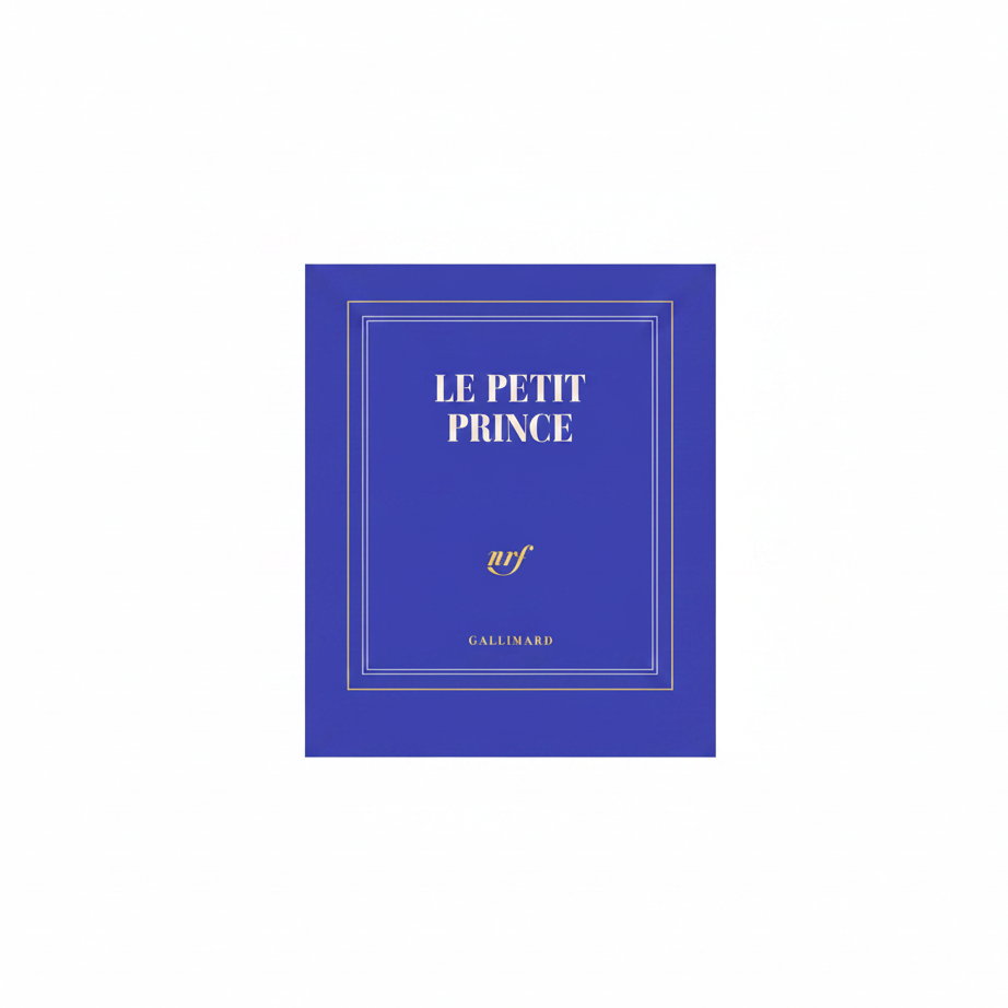 Carnet "Le petit prince"