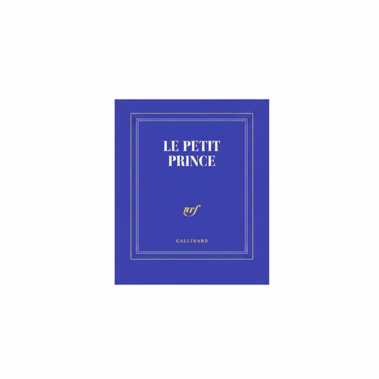 Carnet "Le petit prince"